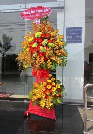 Mua May Bán Đắt
