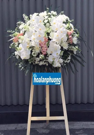 Mẫu Hoa Chia Buồn Hải Phòng 23