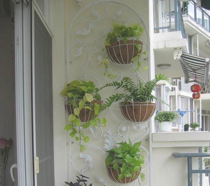 chậu xơ dừa chậu hoa treo tường chậu xơ dừa chậu hoa treo tường