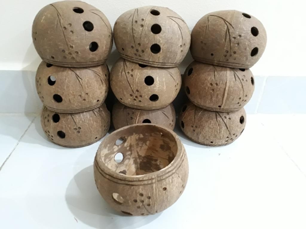 gáo dừa trồng lan - cách trồng lan chậu gáo dừa gáo dừa trồng lan - cách trồng lan chậu gáo dừa