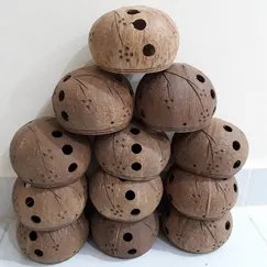 Gáo dừa trồng lan