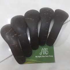 Muỗng gáo dừa
