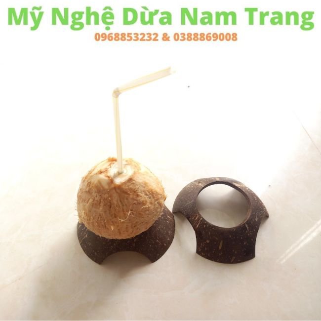 Đế lót trái dừa trọc bằng gáo dừa - Dừa Việt