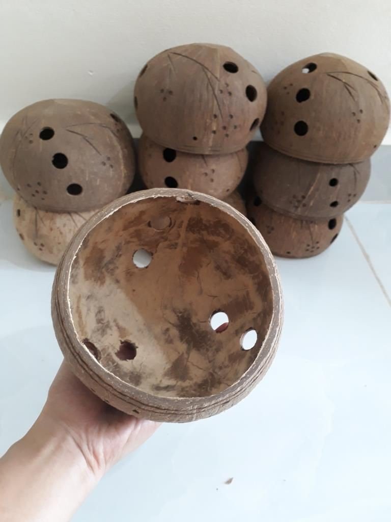 Gáo dừa trồng lan - Mỹ Nghệ Nam Trang