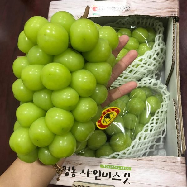 Bạn đang tìm kiếm một loại trái cây ngon, tươi và vừa túi tiền? Hãy khám phá bức ảnh về giá cả cạnh tranh của nho Hàn Quốc và đặt hàng ngay hôm nay để trải nghiệm cảm giác thật sự tuyệt vời.
