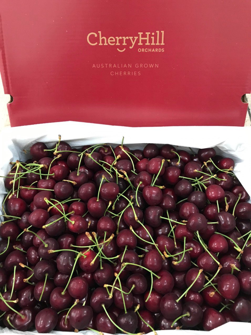 ?#Top 1 Mua cherry úc mới về ngon , dòn, ngọt (Cherry Hill)?