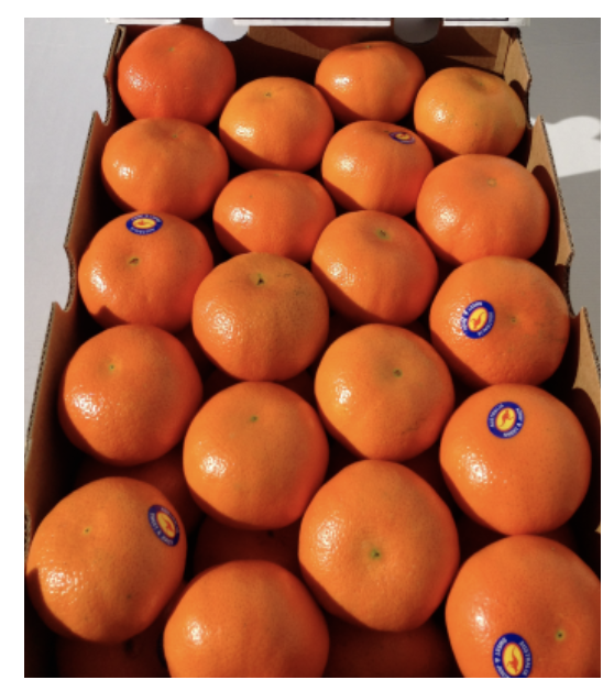 Quýt ironbark citrus úc mới về 07/2020 (1kg)