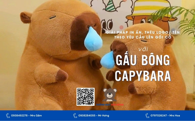 140454-gau-bong-capybara.jpg