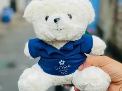 Cách Chọn Mẫu Gấu Bông In Logo Phù Hợp Với Thương Hiệu