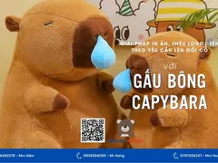 Gấu Bông Capybara - Món Quà Tặng Hoàn Hảo Cho Doanh Nghiệp và Sự Kiện