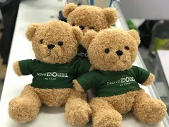 Những điều cần lưu ý khi chọn lựa gấu bông in logo cho các sự kiện