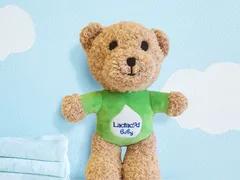 Quà tặng gấu bông in logo tạo ấn tượng trong sự kiện doanh nghiệp