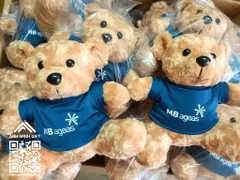 Anh Minh Gift: Địa chỉ cung cấp gấu bông theo yêu cầu