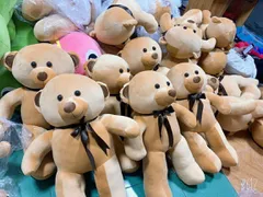 Quà tặng gấu bông tốt nghiệp cuối năm học