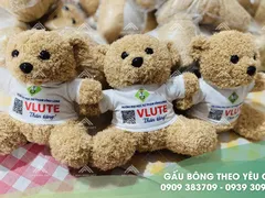 Đặt gấu bông quà tặng doanh nghiệp số lượng lớn