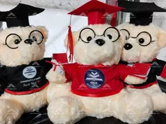 Gấu bông tốt nghiệp mặc áo cử nhân in logo trường - Quà tặng ý nghĩa