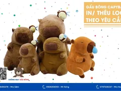 Cung Cấp Gấu Bông Capybara Giá Rẻ Nhất Tại TP.HCM - Quà Tặng Ý Nghĩa