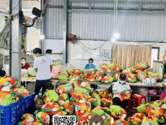 Chuỗi Cung Ứng Gấu Bông & Logistics Quà Tặng Doanh Nghiệp: Từ Ý Tưởng Đến Tay Khách Hàng