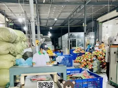 Cung Cấp Gối Cổ Quà Tặng Doanh Nghiệp: Hoàn Hảo Từ Thiết Kế Đến Giao Hàng