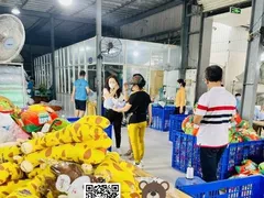 Nơi Đặt Hàng Gối Cổ Chất Lượng Tại TP. HCM