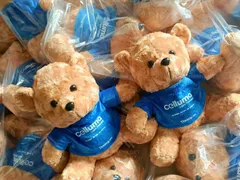 Giới thiệu về gấu bông in logo và ứng dụng trong kinh doanh