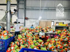 7 Điều cần lưu ý để lựa chọn được nhà cung cấp quà tặng gấu bông uy tín