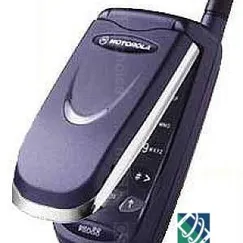 Motorola V51