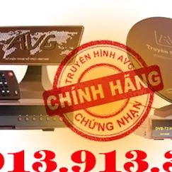 Đầu Thu Kỹ Thuật Số Vệ Tinh AVG DVB-S2