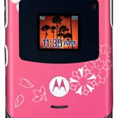 motorola v3 bông mai