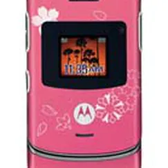 Motorola V3 Bông Mai