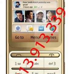 Nokia C3-01 Gold Edition