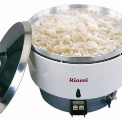 Rinnai R10