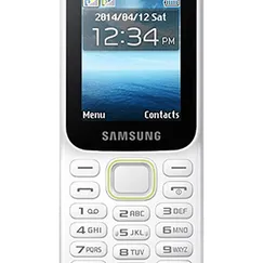 SAMSUNG B310