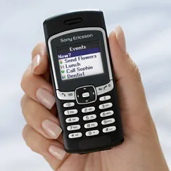 Sony Ericsson T290i