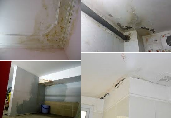 Thợ Chống Thấm Chuyên Nghiệp Tại Biên Hòa Thợ Chống Thấm Chuyên Nghiệp Tại Biên Hòa