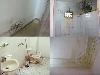 Dịch Vụ Chống Thấm Chuyên Nghiệp Tại Phường Thanh Bình Biên Hòa Cũ: Giải Pháp Hiệu Quả Cho Mọi Công Trình