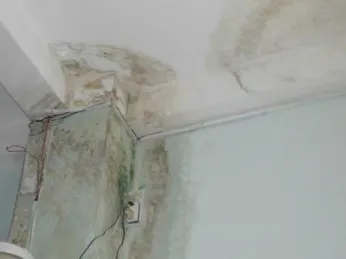 Dịch vụ sửa chữa cải tạo tường nhà tại Phường Tân Hòa Biên Hòa cũ: Giá cả hợp lý