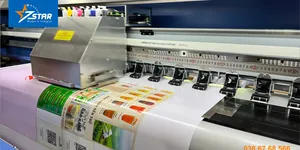 So sánh máy in UV phẳng vs các phương pháp in truyền thống: Nên chọn loại nào?