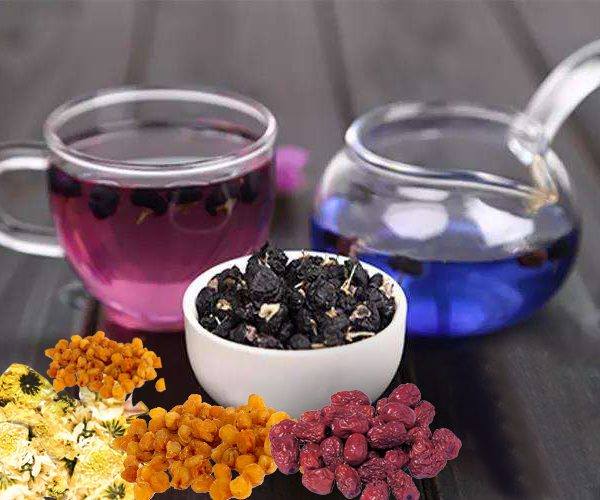 Đặc điểm về hình thái và bộ phận Đặc điểm về hình thái và bộ phận