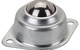 Cốc Bi Cầu CY-25A