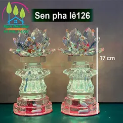 Sen pha lê 126