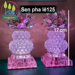 Sen pha lê 125