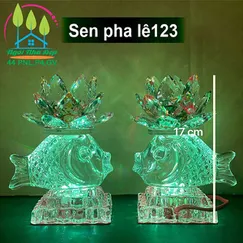 Sen pha lê 123