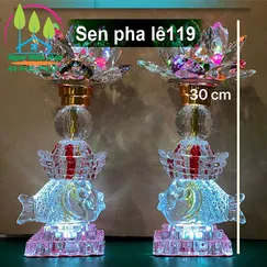 Sen pha lê 119