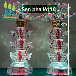 Sen pha lê 116