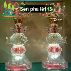 Sen pha lê 113