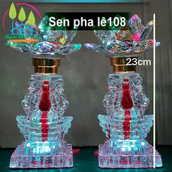Sen pha lê 108