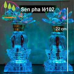 Sen pha lê 102