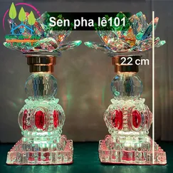 Sen pha lê 101