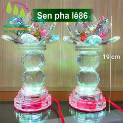 Sen pha lê 86